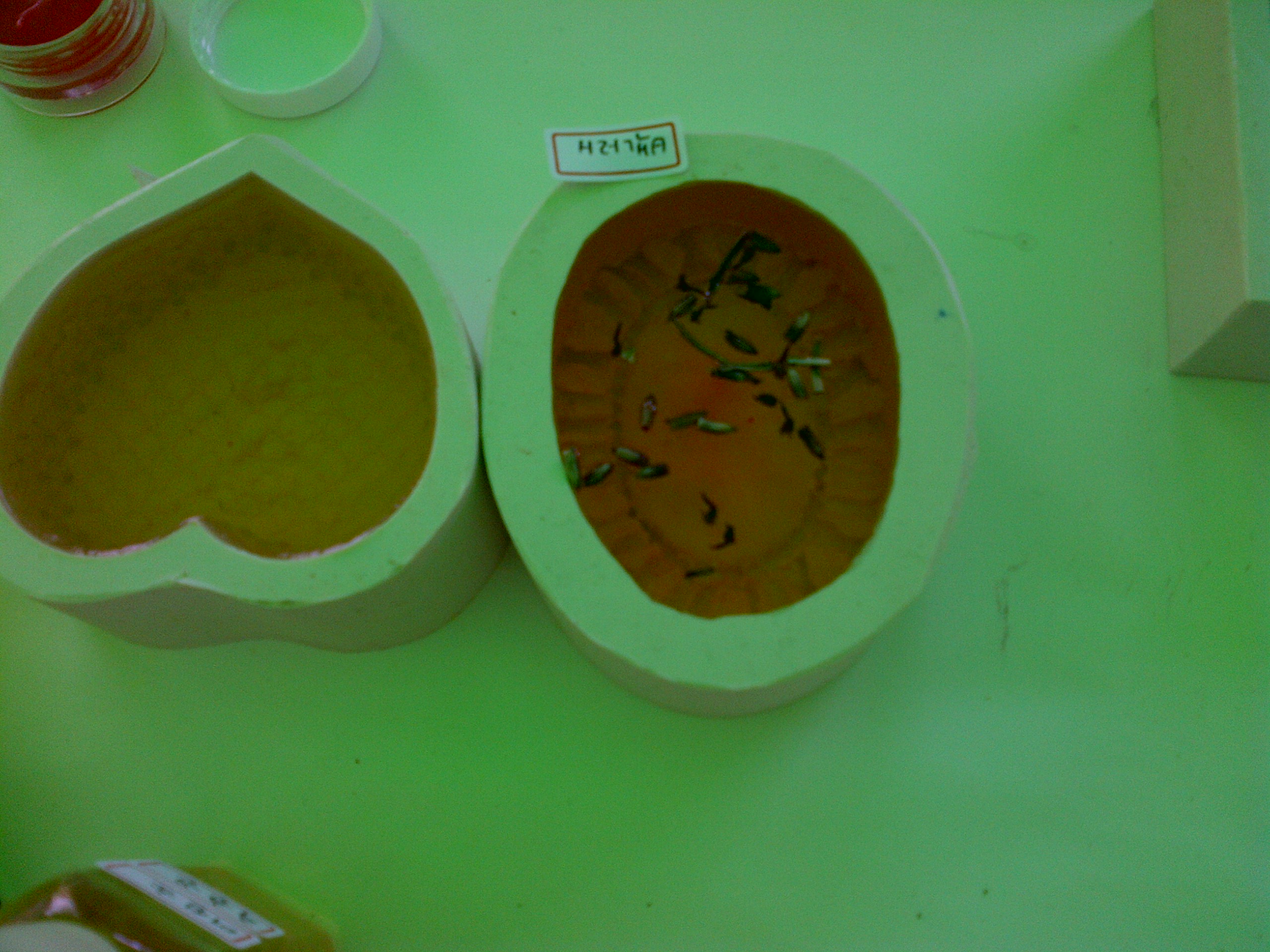 IMG-20130515-00105.jpg